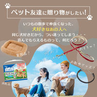 ロワール 【熨斗包装付】ペットペットペットギフカ カタログギフト カード25000ポイント PG025000C 1個（直送品）