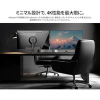 JAPANNEXT 31.5インチ ワイド 4K液晶ディスプレイ JN-IPS315U 1台（直送品）