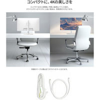 JAPANNEXT 23.8インチ ワイド 4K液晶ディスプレイ JN-IPS238U-HSPC6-W 1台（直送品）