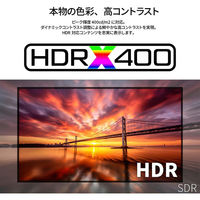 JAPANNEXT 31.5インチ ワイド 4K液晶ディスプレイ JN-IPSB315U 1台（直送品）