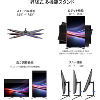 JAPANNEXT 31.5インチ ワイド 4K液晶ディスプレイ JN-IPSB315U-HSPC6 1台（直送品）