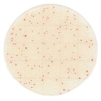 アズワン Easy Plate 一般生菌数迅速測定用(25枚/袋×4袋/箱×5箱入)ACーR 4-5420-57 1箱(500枚)（直送品）