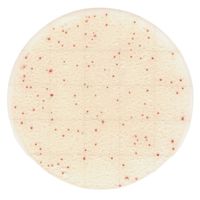 キッコーマンバイオケミファ Easy Plate 一般生菌数迅速測定用(25枚/袋×4袋入)ACーR 61979 1箱(100枚)（直送品）