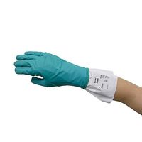 重松製作所 化学防護手袋 JIST8116適合品 XL 1箱(50枚入) 93-260-XL-BOX 1箱(50枚) 68-6652-42（直送品）