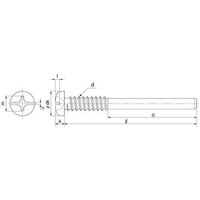 SUNCO ステン(+ー)BPナベ G=40 4 X 65 (20本入) 21-02-4020-0040-0650-00-20P（直送品）