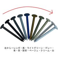 DAIDOHANT VP カラートタン釘 (約200g)1.8x25 ライトグリーン(約330本) 10175264 1袋(330本)（直送品）