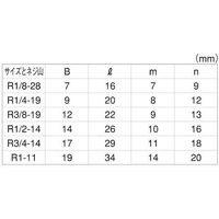 SUNCO 三価ホワイト 阪村 プラグ(四角頭 R1/8ー28 (300本入) A0-00-5620-8010-0000-03（直送品）