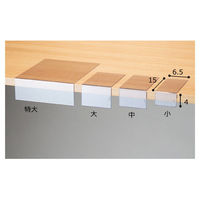 ストア・エキスプレス 【10個】カード差し L型 小 2581-50 1セット(10個) 61-205-4-1（直送品）