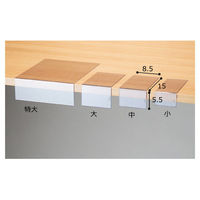 ストア・エキスプレス 【10個】カード差し L型 中 2581-52 1セット(10個) 61-205-4-2（直送品）