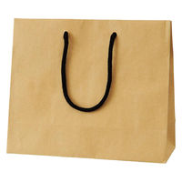 ストア・エキスプレス 【10枚】手提げ紙袋 無地クラフト 26×10×22cm 36005-1011 1セット(10枚)（直送品）