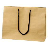 ストア・エキスプレス 【10枚】手提げ紙袋 無地クラフト 35×13×27cm 36005-1012 1セット(10枚)（直送品）