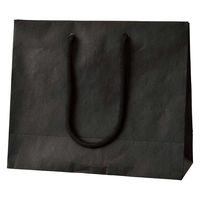 ストア・エキスプレス 【10枚】手提げ紙袋 無地ブラック 26×10×22cm 36005-1041 1セット(10枚)（直送品）