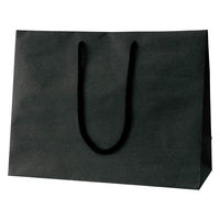 ストア・エキスプレス 【10枚】手提げ紙袋 無地ブラック 35×13×27cm 36005-1042 1セット(10枚)（直送品）