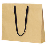 ストア・エキスプレス 【10枚】ショルダーバッグ ベージュ無地紙袋 黒ひも 52×10×42cm 36005-21 1セット(10枚)（直送品）