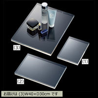 ストア・エキスプレス アクリル厚板ステージ 長方形 幅40×奥行30cm 5731-1036 1枚 61-798-59-3（直送品）