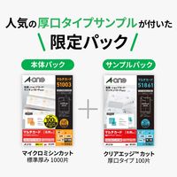 エーワン マルチカード名刺51003Aプラス51861 プロモーションパック 51003A 1冊