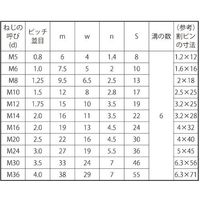 SUNCO 溝付きナット(高形(1種 M5 (2000本入) N0-00-0C00-0050-0000-00 1箱(2000本)（直送品）