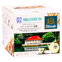 ディルマ CTJ クイーンズベリー茶園（スリランカ・キャンディ） 1セット(20バッグ入×6) 業務用