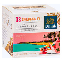 ディルマ CTJ ストロベリー＆ミント 1セット(20バッグ入×3) 業務用