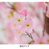 ストア・エキスプレス 桜立ち木（造花）　Ｈ１５０ｃｍ 8730-5537 1台（直送品）