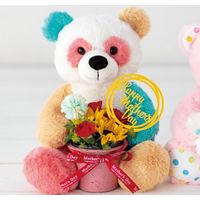 ヘッズ 抱きつきアニマル/パンダのニック-1 6個(2個×3) DAP-NBQ1（直送品）