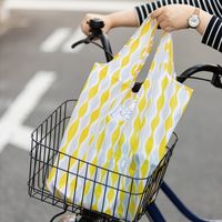 ヘッズ マイチョイスバッグポリエステル/モノトーン-2 10枚(5枚×2) EBP-2B 1セット(10枚入)（直送品）