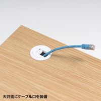 サンワサプライ 19インチマウントボックス( 10U D600) CP-501 1台（直送品）