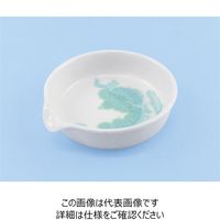 ナリカ 蒸発皿(平底) 90mm(90mL) 10個組 磁製 S75-3003-13 1セット(10個)（直送品）