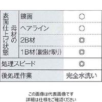 マイト工業 電解液 SUSーNー4L 1個（直送品）