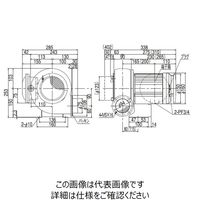 昭和電機 耐圧防爆型電動送風機 MDーSBー75ーR313 MD-SB-75-R313 1個（直送品）