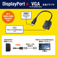 サンワサプライ DisplayPort-VGA変換アダプタ AD-DPV04 1本