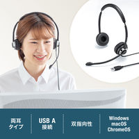 サンワサプライ USBヘッドセット MM-HSU20BK 1個（直送品）