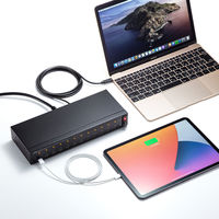USBハブ　USB2.0　USB-C　Type-C×20　USBポート　USB-2THCS20　サンワサプライ　1個（直送品）
