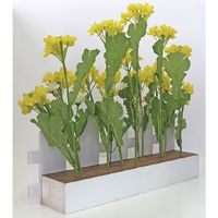 アルファ 菜の花垣根アレンジ TE1-1347 1個（直送品）