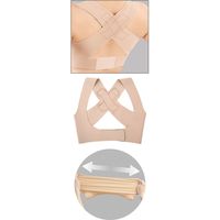 アルファックス お医者さんの背すじベルト　ピタ肌　433033　L～LL 4528870433033 1個（直送品）