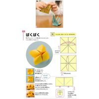 大人の折り紙入門セット　4537473002539 1セット 介援隊（直送品）