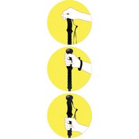 シナノ 健康いっぽん杖　606010　ブラック 4959431116605 1本（直送品）