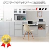 ナサ流通企画 ルーター収納キャビネット 幅455×奥行300×高さ875mm ホワイト/ホワイト fy-0086 1台（直送品）