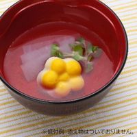 ふくなお お花のとうふ　きいろ　5袋（約13G×30個）（直送品）