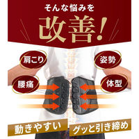 大河商事 pwdr008 骨盤サポーター 8滑車固定 XL ウエスト 102~115cm pwdr008-bk-xl 1台（直送品）