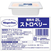 ハーゲンダッツ ジャパン [アイス] ハーゲンダッツ業務用 各2L 【ストロベリー・バニラ】 1セット(2種計2個)（直送品）