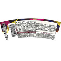 ハーゲンダッツ ジャパン [アイス] ミニカップ ガナッシュショコラ 110ml×12個 4976994207175 1セット(12個)（直送品）