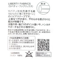 キャプテン リバティプリントバイアステープ 22mm×1.8m ハーモニーピンク CP251-3 1セット(3枚)（直送品）