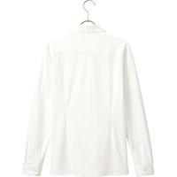 チクマ シャツ（長袖） AR1486-1-15（直送品）