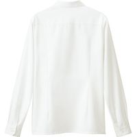 チクマ ブラウス（長袖） AR1485-1-9（直送品）