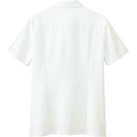 チクマ ブラウス（半袖） AR1685-1-9（直送品）