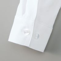 チクマ ブラウス（長袖） AR1454-1-13（直送品）