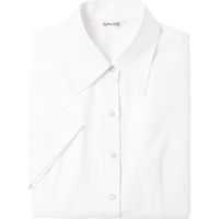 チクマ ブラウス（半袖） AR1651-1-5（直送品）