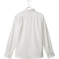 チクマ ブラウス（長袖） YT1910-1-9（直送品）