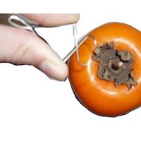 ミネ 柿クリップ MA型50入り 4524325000331 1個